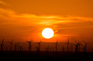 wind mills